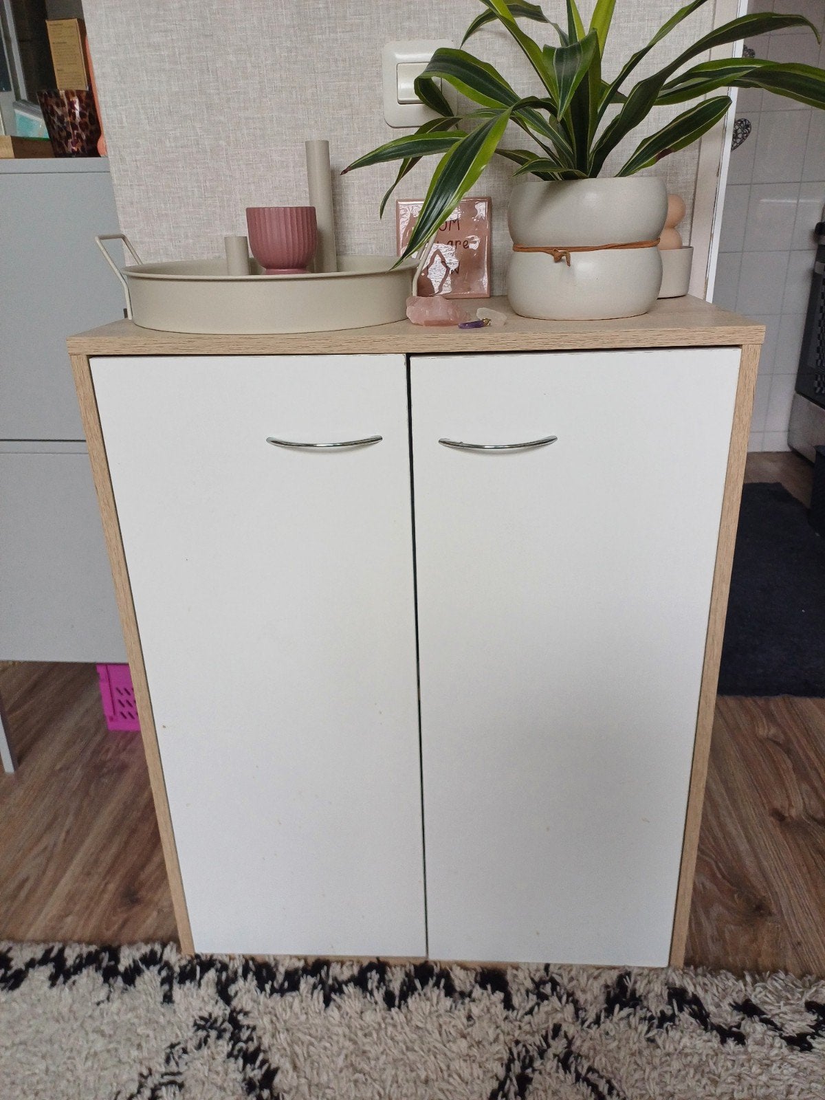 Leuk kastje, Ophalen, 25 tot 50 cm, 50 tot 100 cm