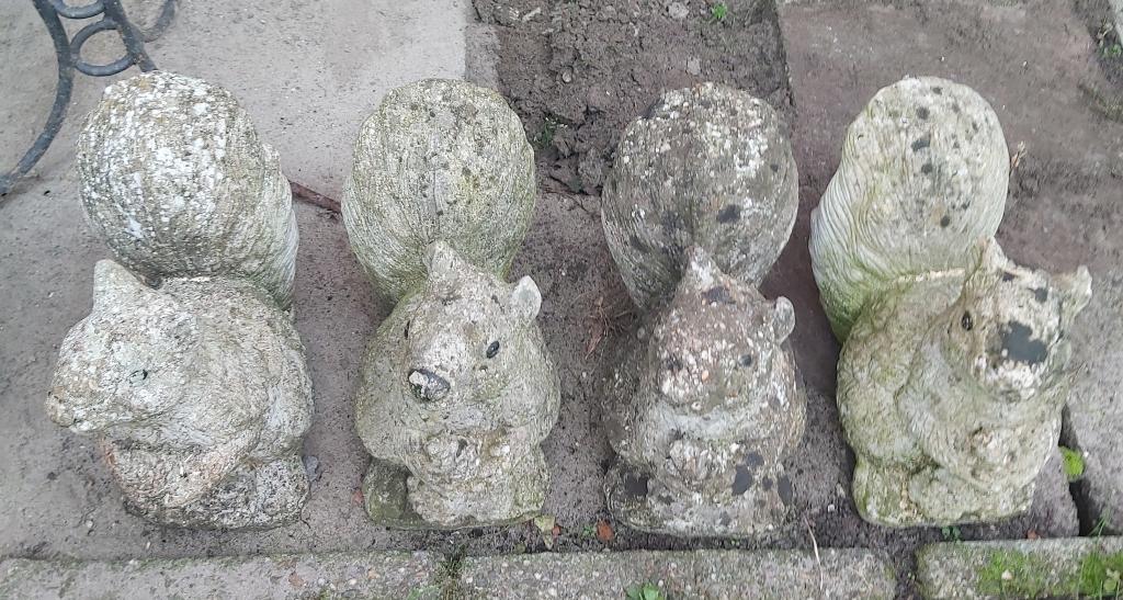 beeld beelden betonnen eekhoorns decoratie, Ophalen