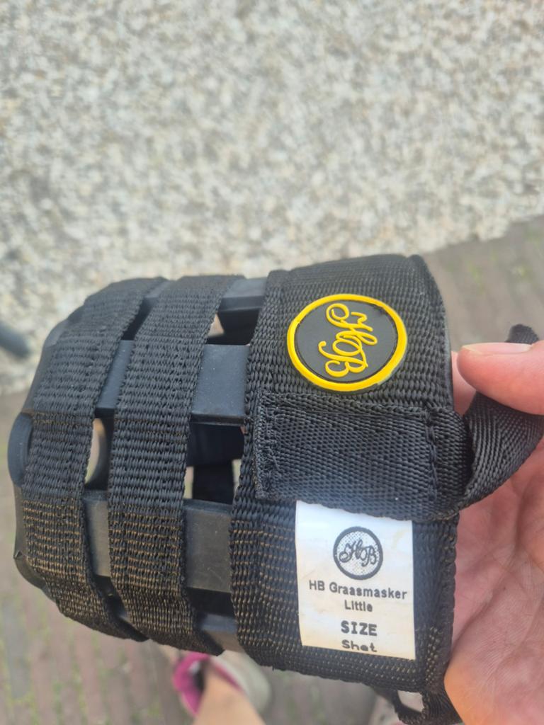 Graasmasker shetlander, Dieren en Toebehoren, Paarden en Pony's | Hoofdstellen en Tuigage, Ophalen of Verzenden