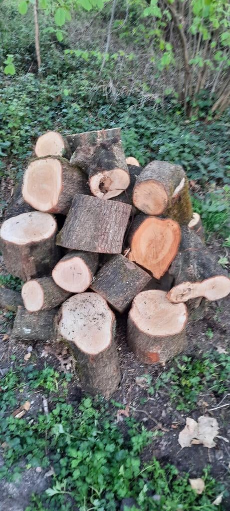 Tekoop 1 kub eiken hout, Minder dan 3 m³, Ophalen, Eikenhout