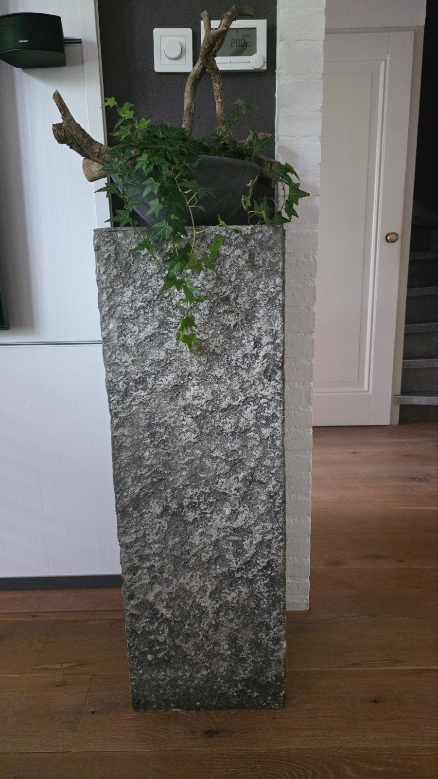 Plantenzuil, Ophalen of Verzenden