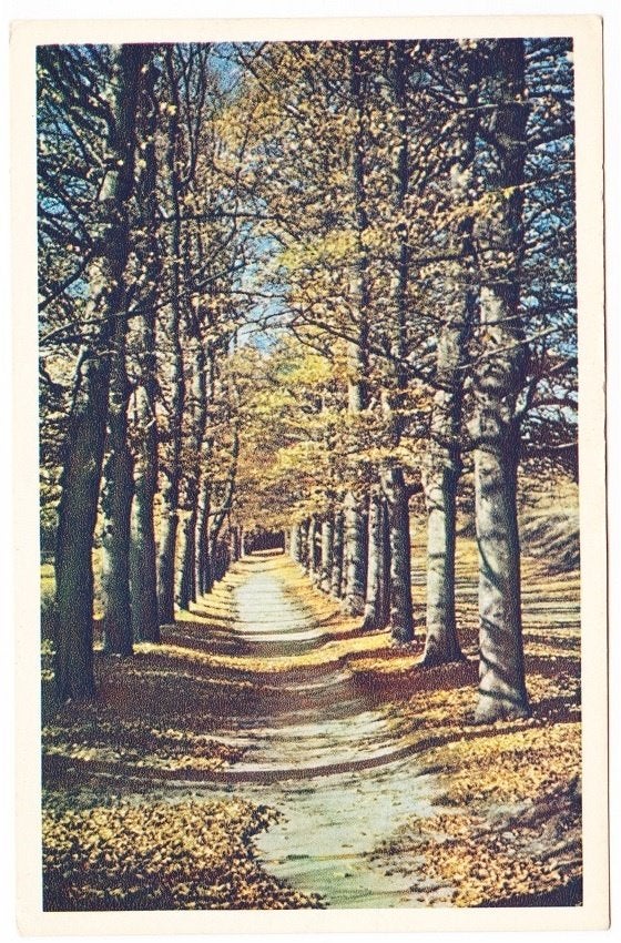 Hollandsche Rading - Kampeercentrum de Rading, Verzenden, 1940 tot 1960, Ongelopen, Utrecht