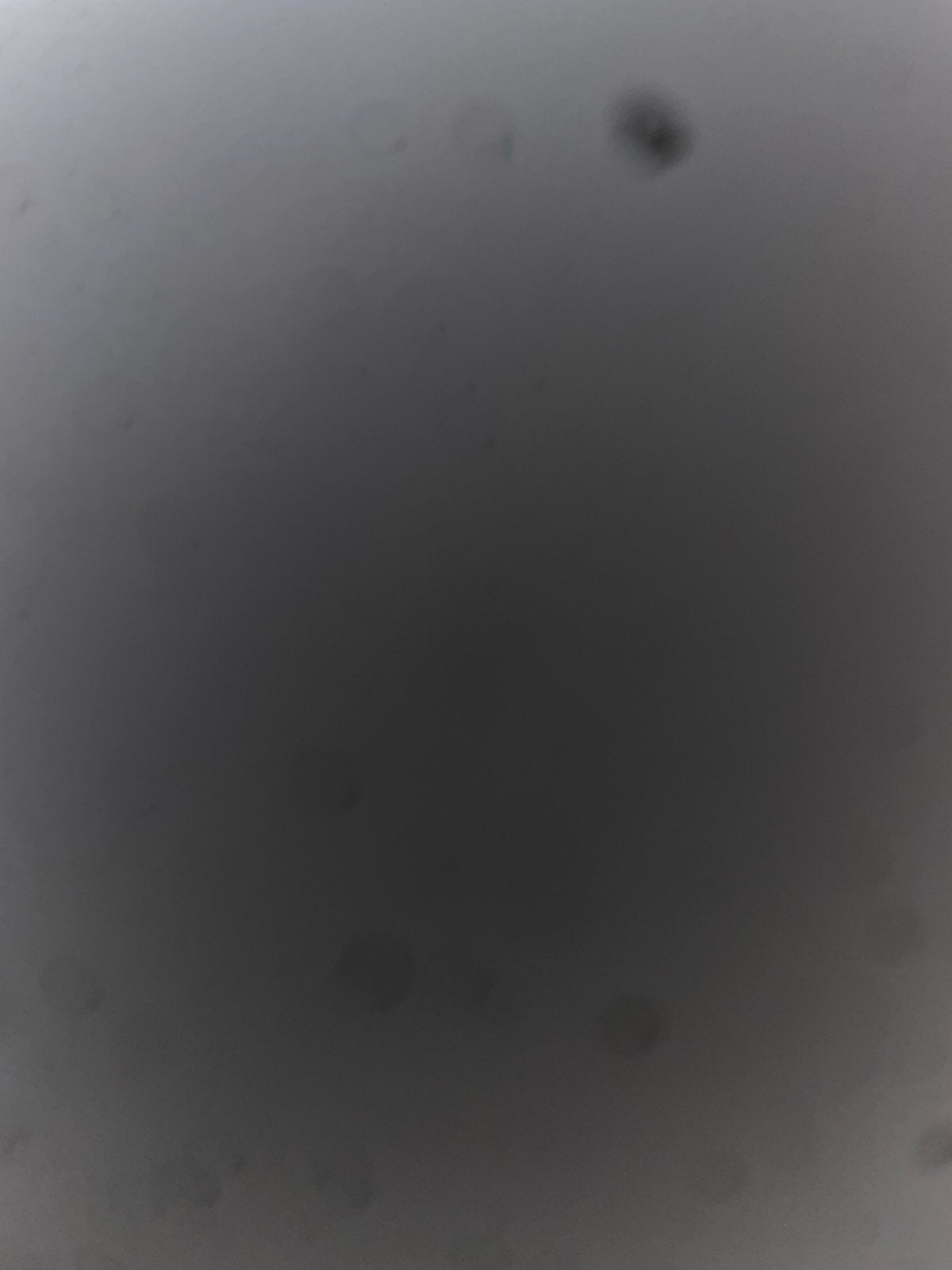 Opel te koop