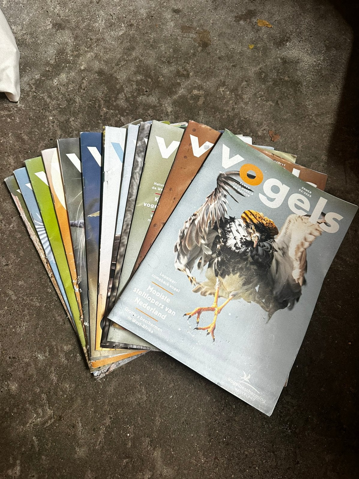 Vogels - 12x tijdschrift Vogelbescherming, Ophalen of Verzenden, Zo goed als nieuw, Wetenschap en Natuur