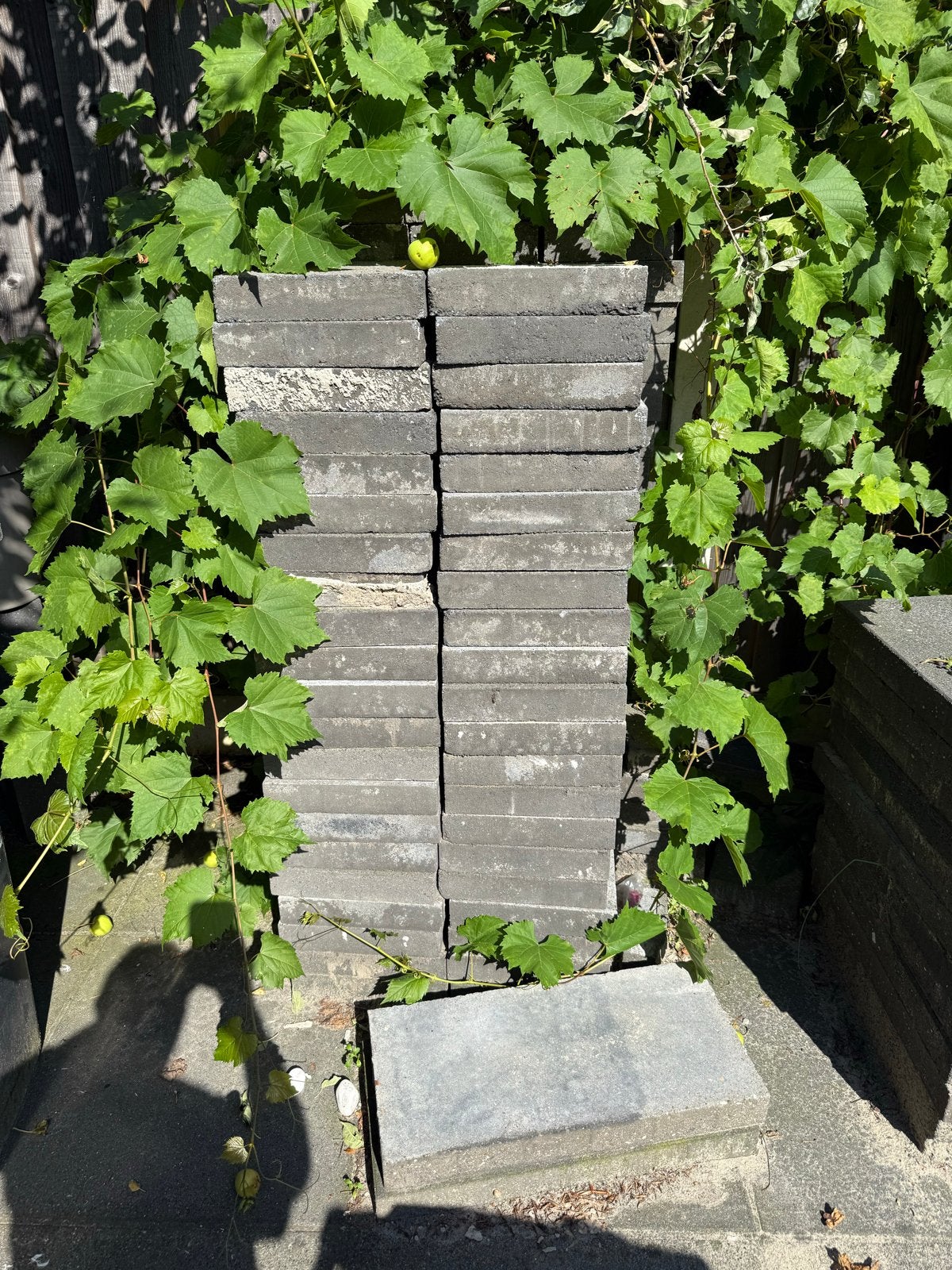 Gratis af te halen: tegels 60x60 cm en 30x20 cm, Ophalen, Gebruikt, 10 m² of meer, Beton