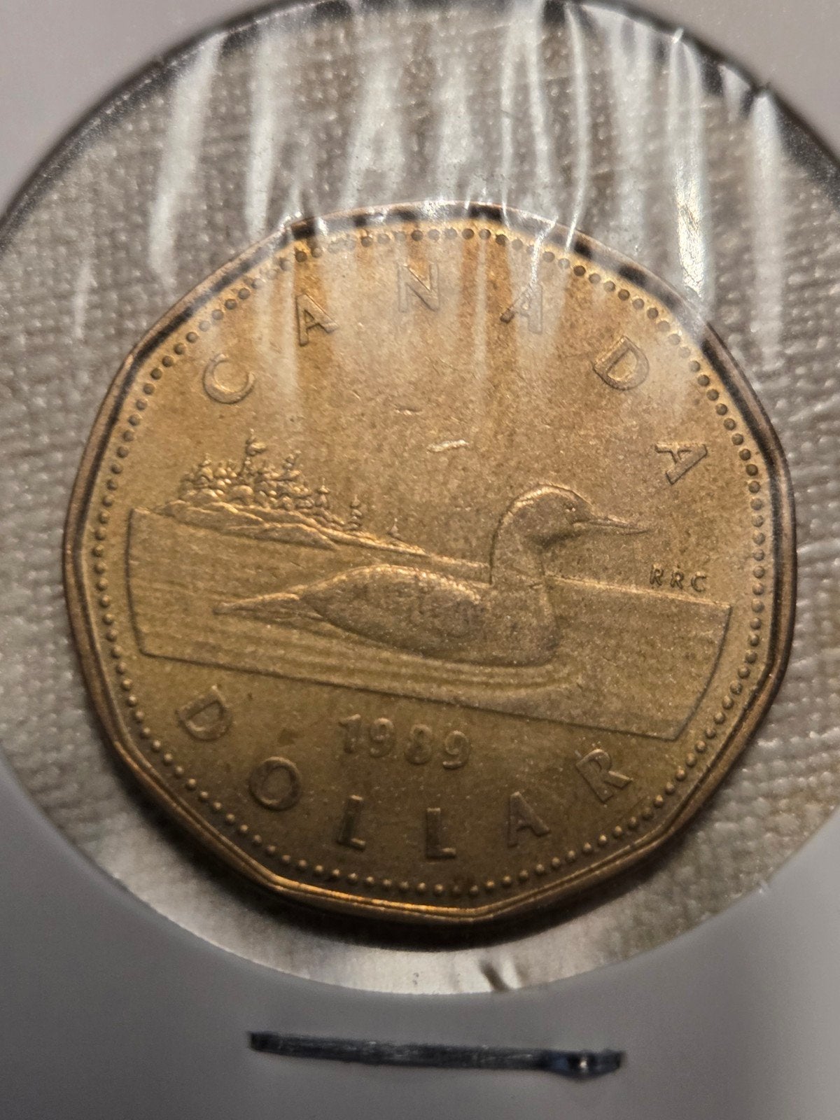 Canadese 1 Dollar munt 1989 - Loonie, Ophalen of Verzenden, Noord-Amerika, Losse munt