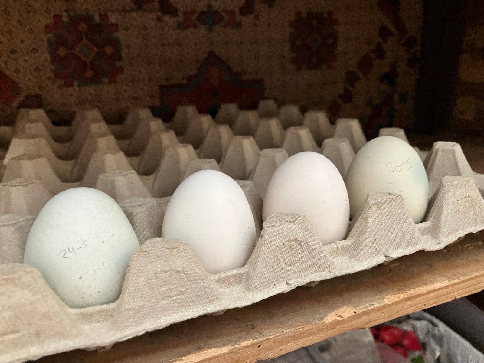 Broedeieren, Dieren en Toebehoren, Geslacht onbekend, Kip