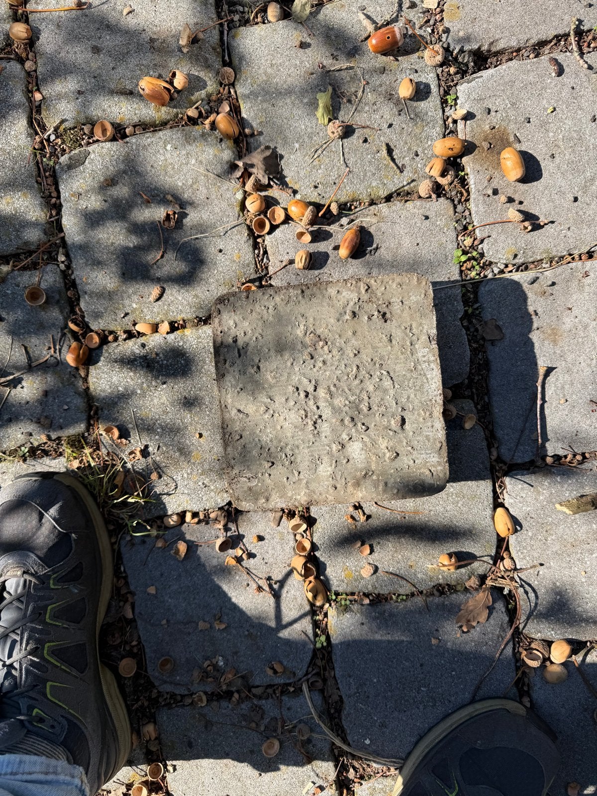 Gratis: Gebruikte betonnen klinkers voor terras of pad, Gebruikt, Klinkers, Ophalen of Verzenden, 10 m² of meer