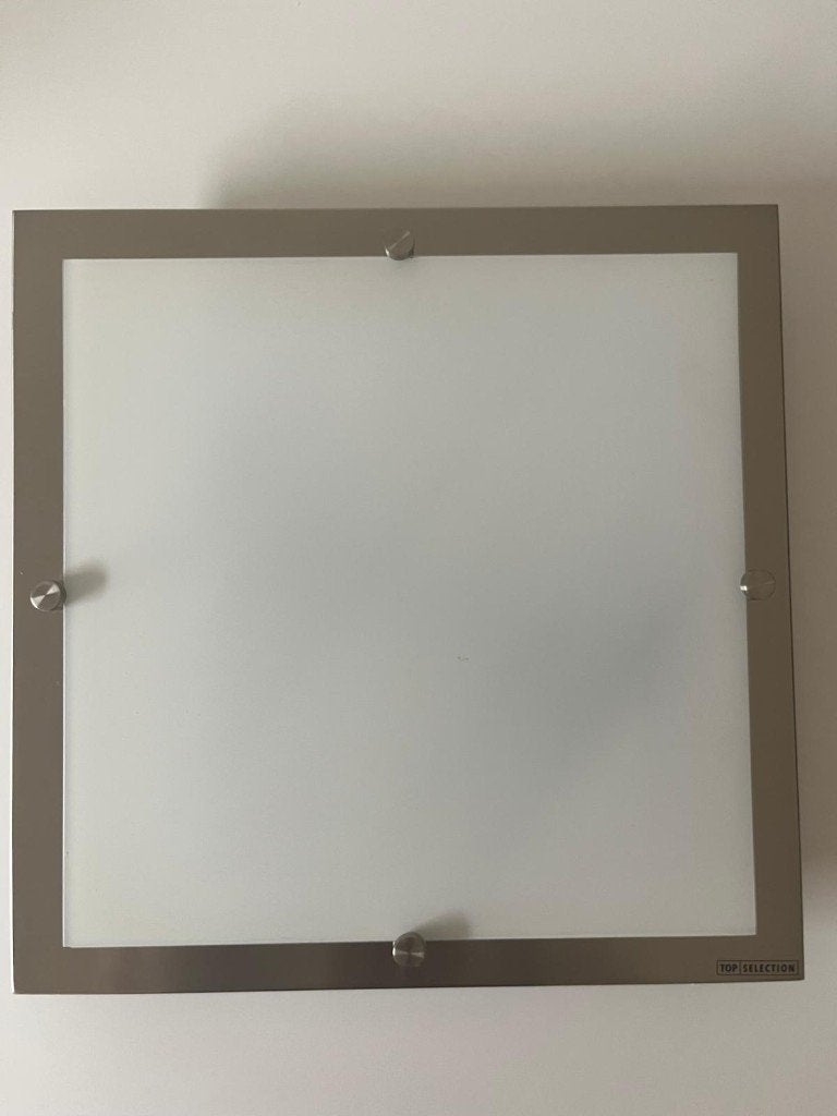 Massive Dorothy Plafondlamp Geborsteld Staal R7s - Incl.lamp, Zilver, Gebruikt, Inclusief lichtbron, Modern