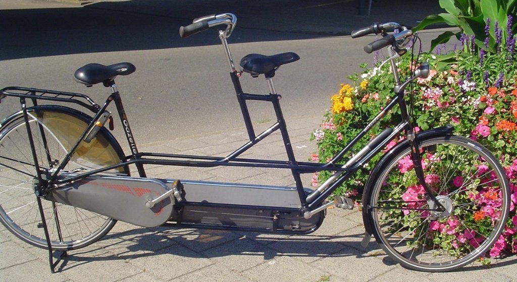Tandem Gazelle, Minder dan 10 versnellingen, Gebruikt, 55 cm of meer, Gazelle