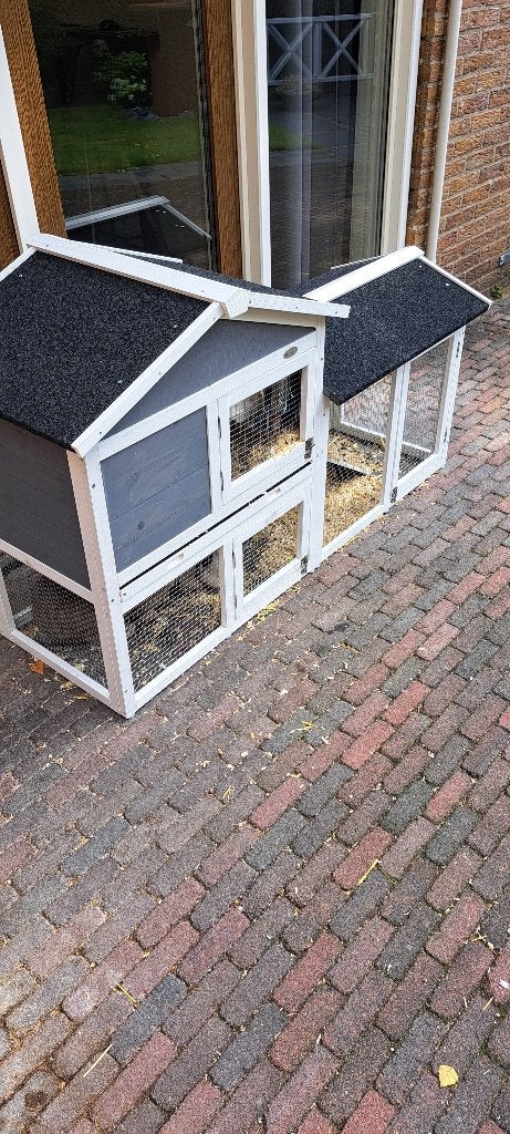 Konijnenhok, Nieuw, Ophalen of Verzenden, 90 cm of meer, Konijn