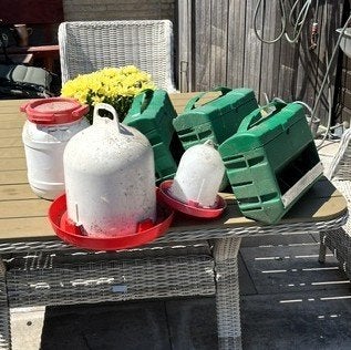 Voerbakken kippen, Ophalen, Gebruikt, Drinken en Voederen