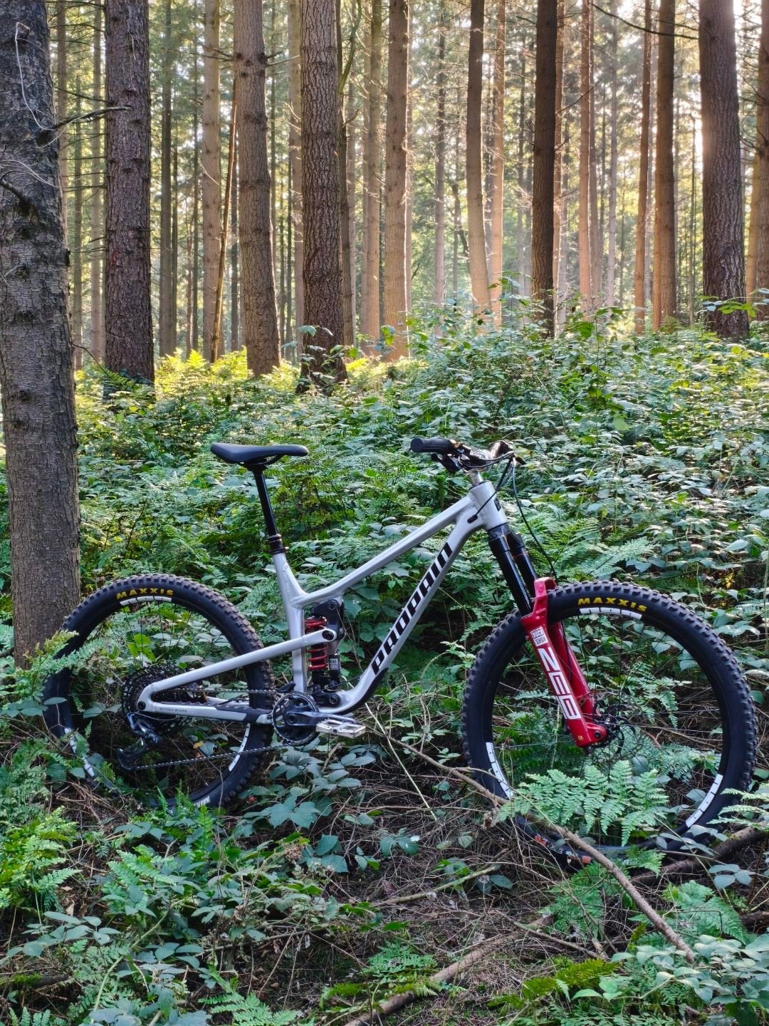 Propain Tyee 6 AL large, Zo goed als nieuw, Schijfrem, 53 tot 57 cm, Ophalen