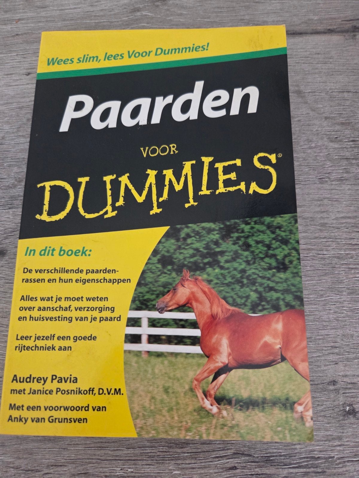 Paarden voor Dummies - Leer alles over paarden, Ophalen of Verzenden, Gelezen, Paarden of Pony's, Audrey Pavia