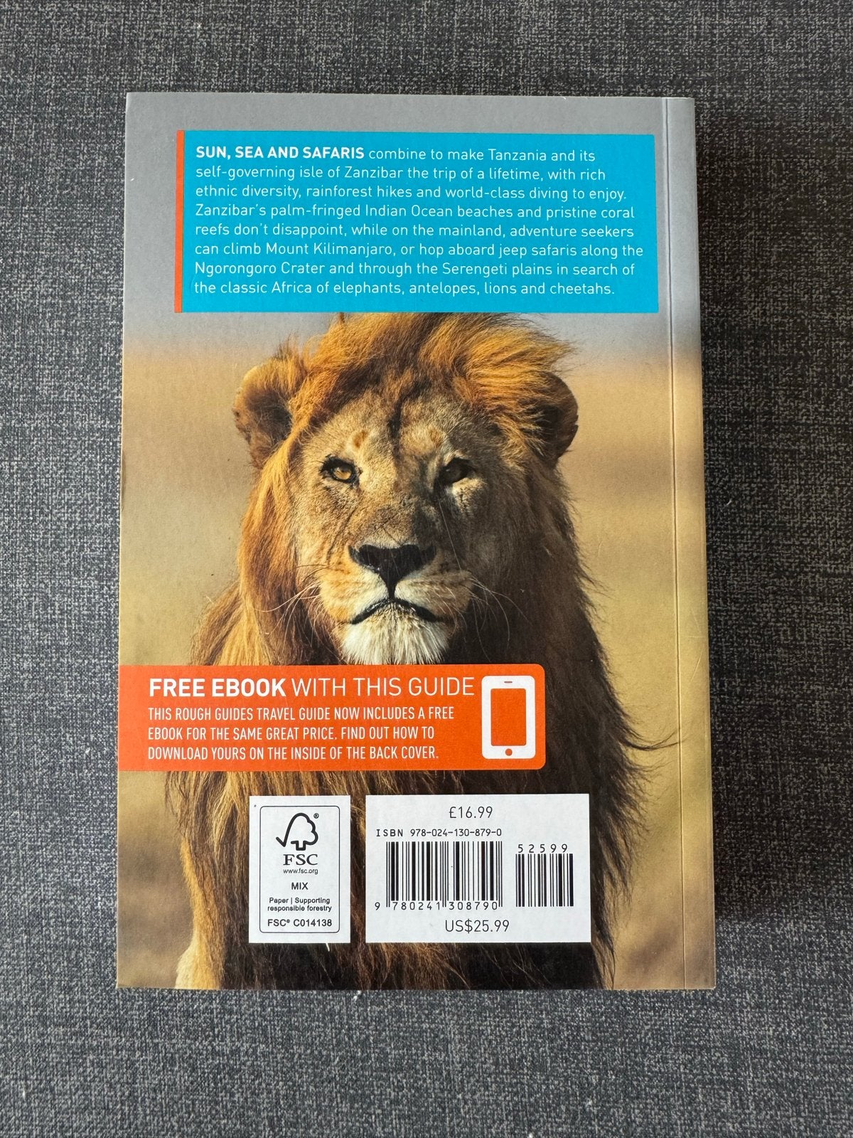 Rough Guide: Tanzania & Zanzibar - Reisgids, Boeken, Ophalen of Verzenden, Zo goed als nieuw, Reisgids of -boek, Afrika