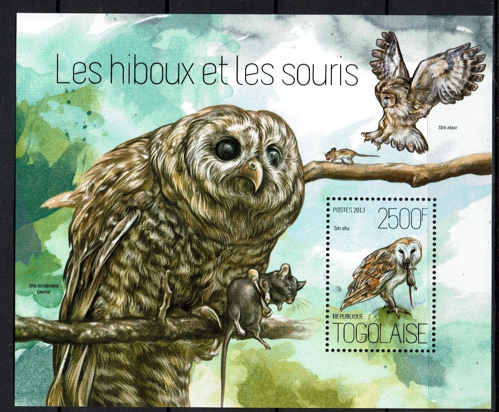 TOGO 2013 PF BLOK UILEN OWLS VOGELS BIRDS, Ophalen of Verzenden, Postfris, Dier of Natuur