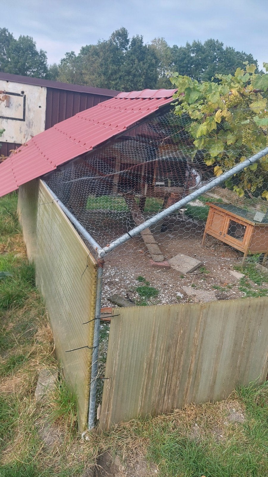 kippenren /kippen hok, Dieren en Toebehoren, Ophalen, Gebruikt, Kippenhok of Kippenren