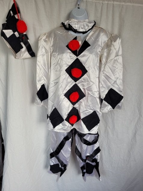 Grappig harlekijn 4 delig outfit mt S/M, Carnaval, ., Ophalen of Verzenden, Maat 36 (S)