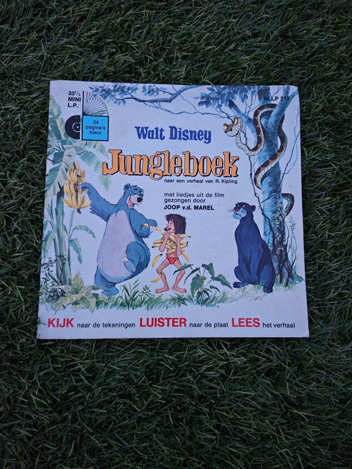 Walt Disney Jungleboek Mini LP met boekje, Gebruikt, 6 tot 9 jaar, Ophalen of Verzenden, Album