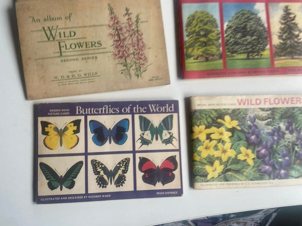 Plaatjesalbums 5x Vlinders, Bloemen & Bomen, Ophalen of Verzenden, Gelezen