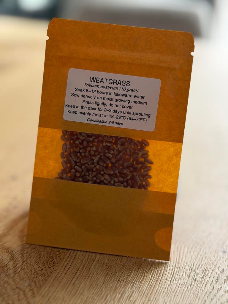 Biologische Tarwegras Kiemzaden - 100g - Getest Kiemkracht, Verzenden, Gehele jaar, Halfschaduw, Zaad