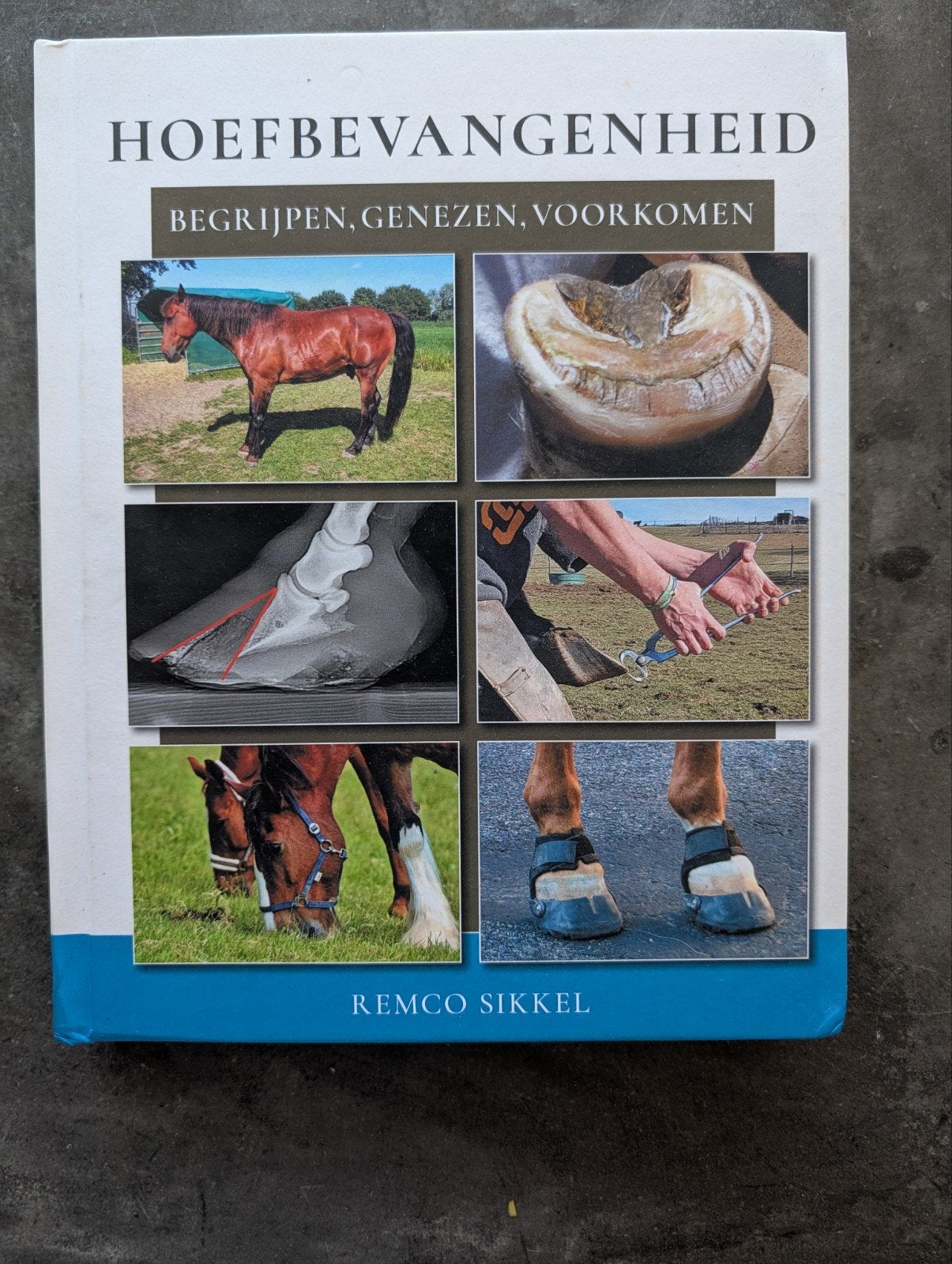 Hoefbevangenheid - Remco Sikkel, Ophalen of Verzenden