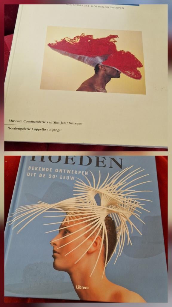 2 boeken over hoeden ontwerpen en ontwerpers, Boeken, Ophalen of Verzenden, Zo goed als nieuw, Mode algemeen, S. Hopkins