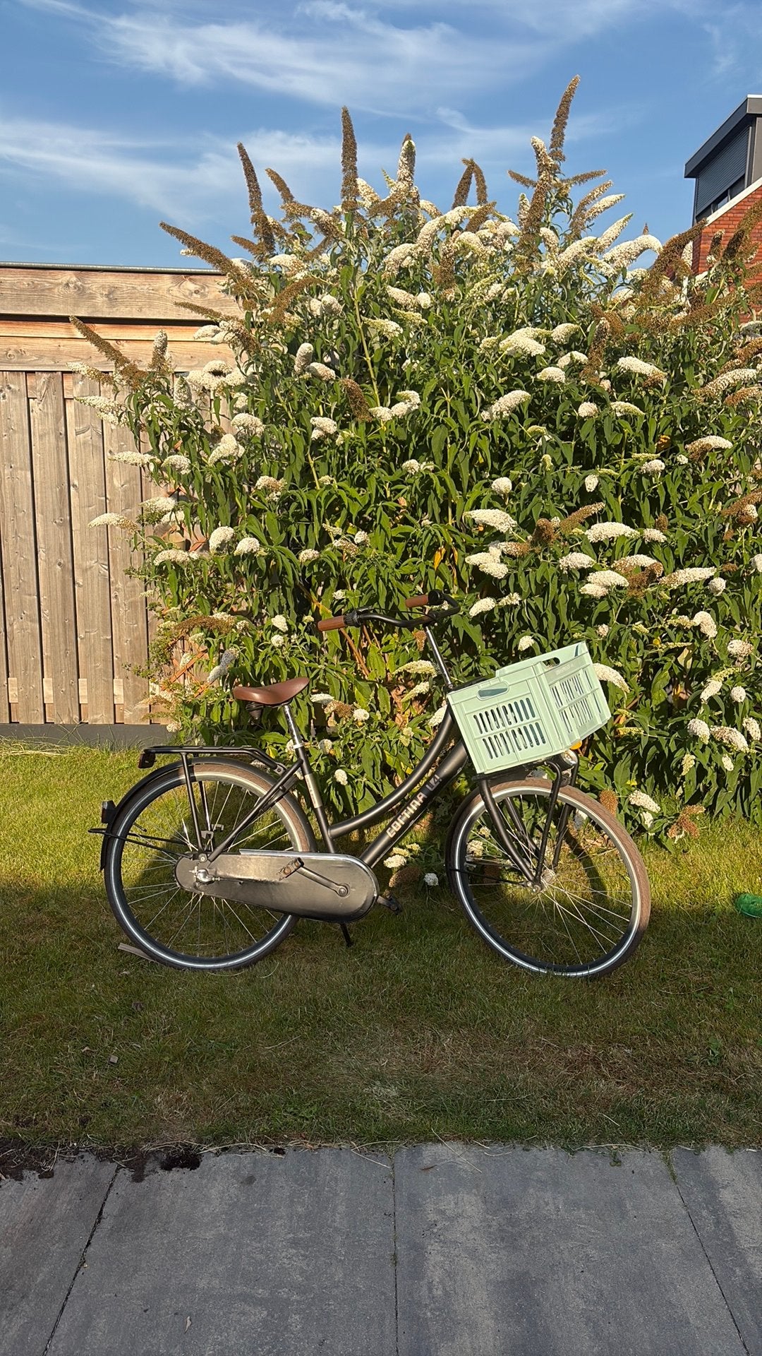Cortina 25 inch, Fietsen en Brommers, Fietsen | Meisjes, Ophalen, Gebruikt, 24 inch, Versnellingen