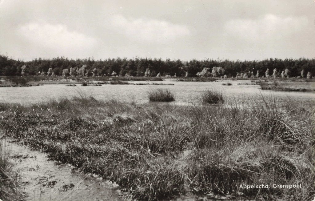 Appelscha Grenspoel L2859, Ophalen, 1960 tot 1980, Gelopen, Friesland