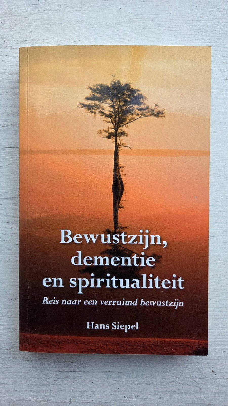 Bewustzijn, dementie en spiritualiteit - Hans Siepel, Boeken, Achtergrond en Informatie, Spiritualiteit algemeen, Ophalen of Verzenden