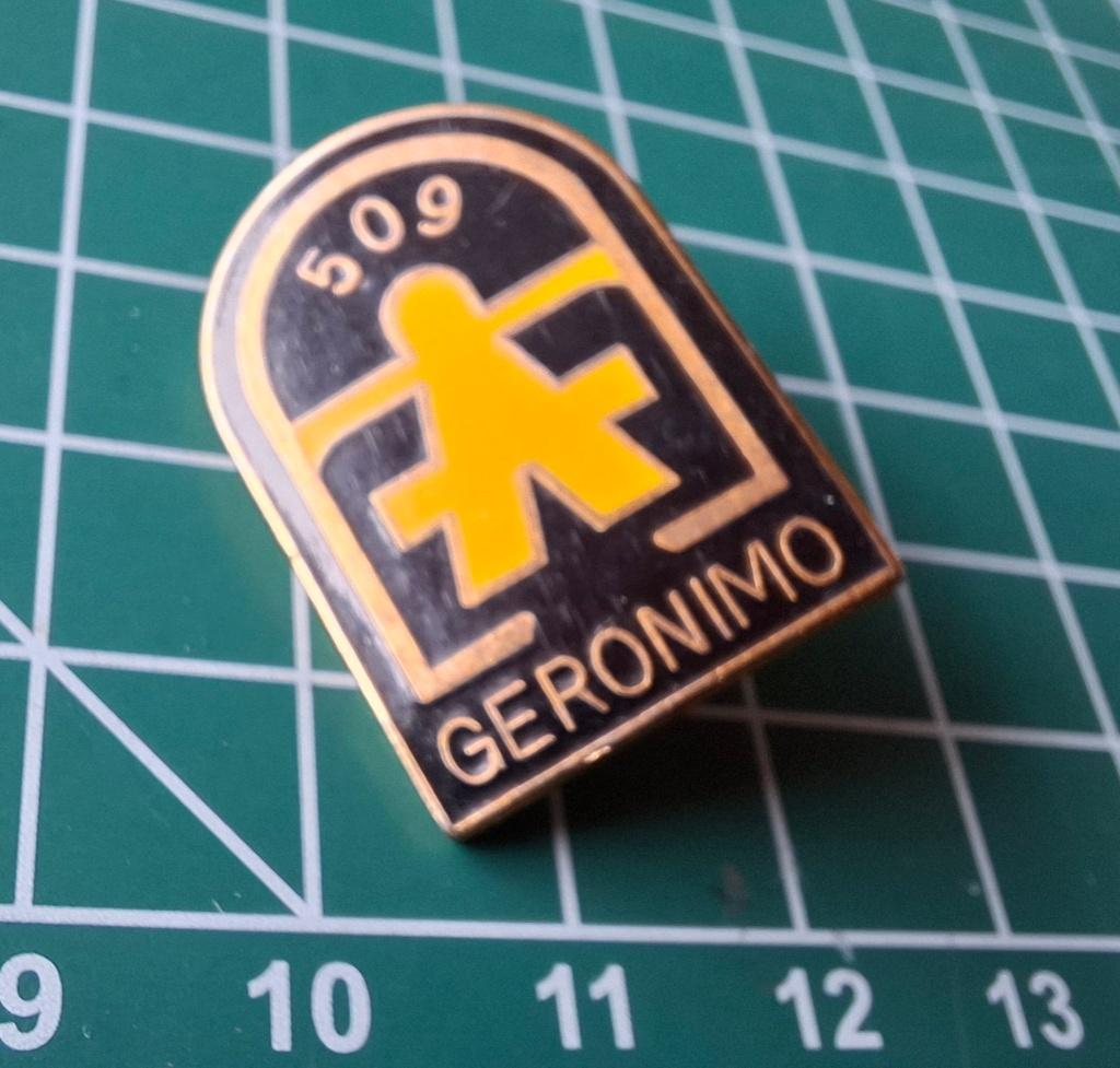US - 509th PIR Pin - Gingerbreadmen, Verzamelen, Militaria | Tweede Wereldoorlog, Verzenden, Landmacht, Amerika, Embleem of Badge