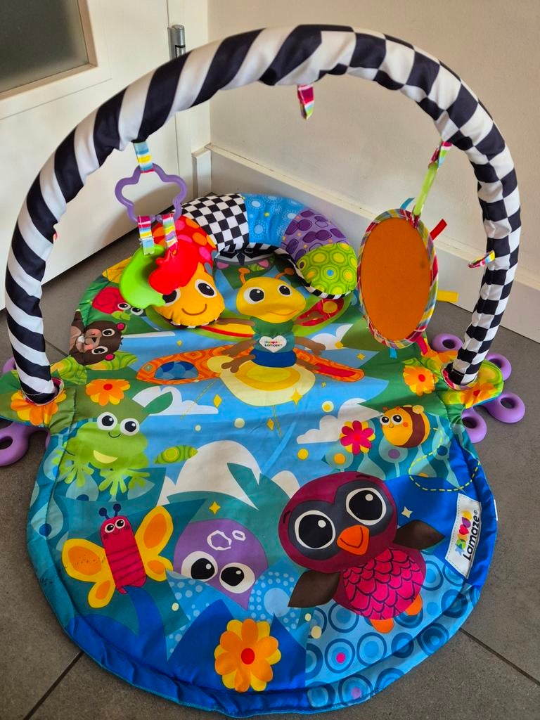 Lamaze babygym., Kinderen en Baby's, Ophalen, Zo goed als nieuw