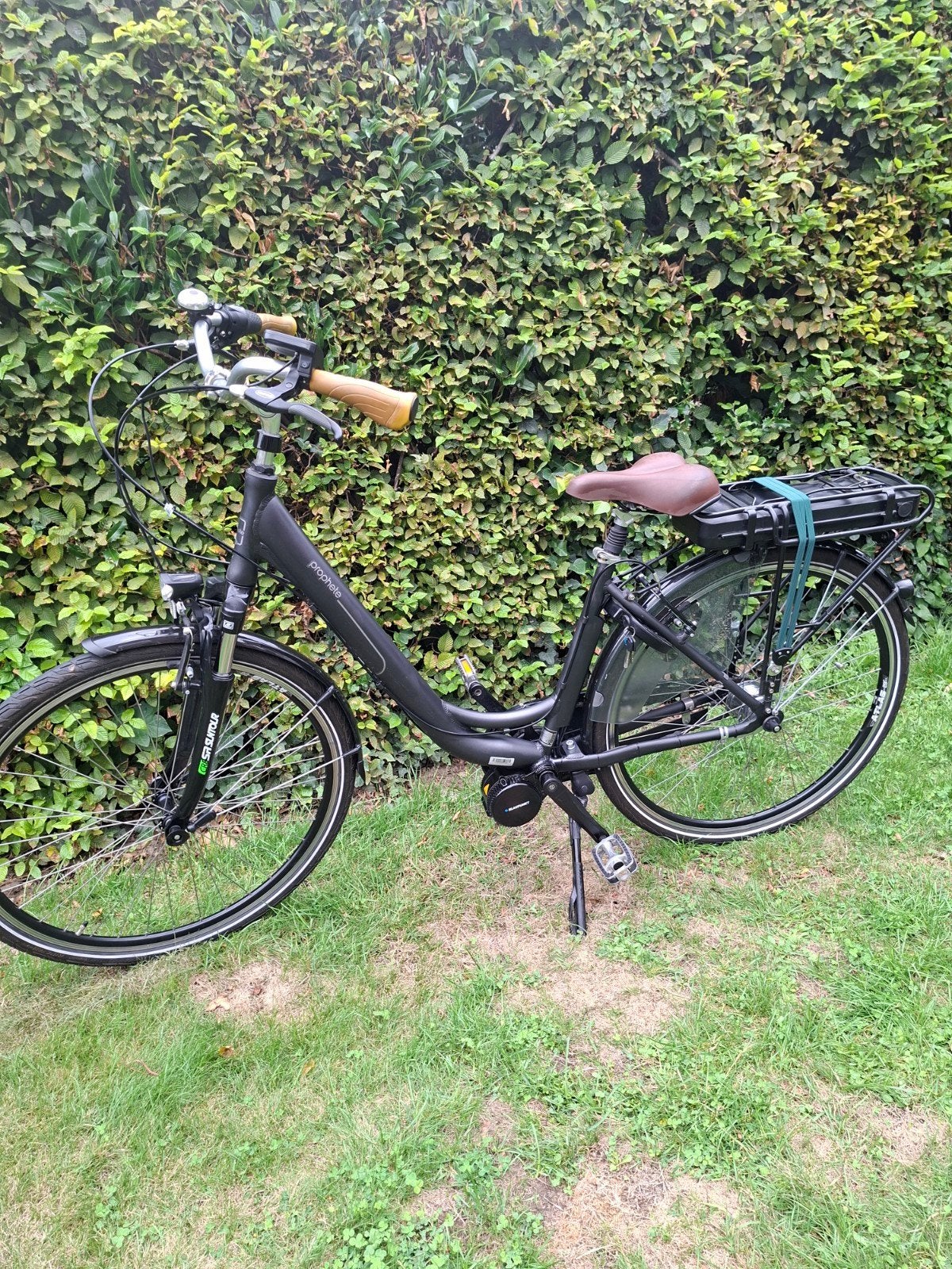 Electrische fiets., Ophalen of Verzenden, Zo goed als nieuw, Overige merken