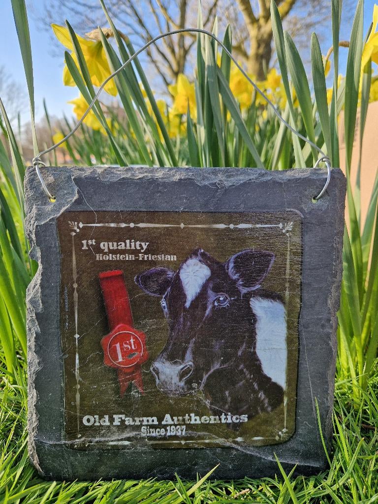 Vintage leistenen bord van Old Farm Authentics, Minder dan 50 cm, Ophalen of Verzenden, Zo goed als nieuw, Schilderij