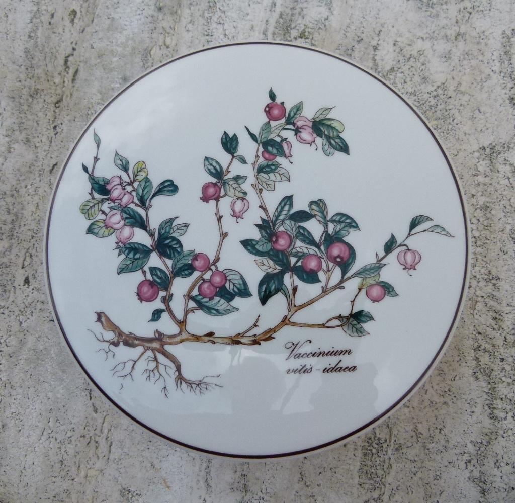 BOTANICA Villeroy & Boch Mokken Deksel Dozen + Kommen K + S, Nieuw, Ophalen of Verzenden, Wedgwood, Porselein