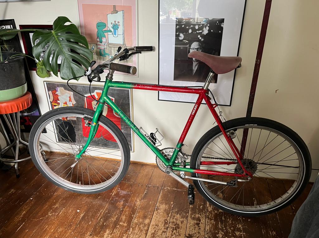Mountain/cruiser bike, Ophalen of Verzenden, Zo goed als nieuw, Overige merken
