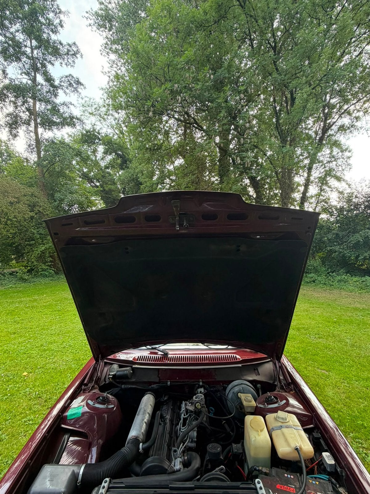 Volvo 244 diesel 1984 bordeaux Rood belastingvrij, foto 7