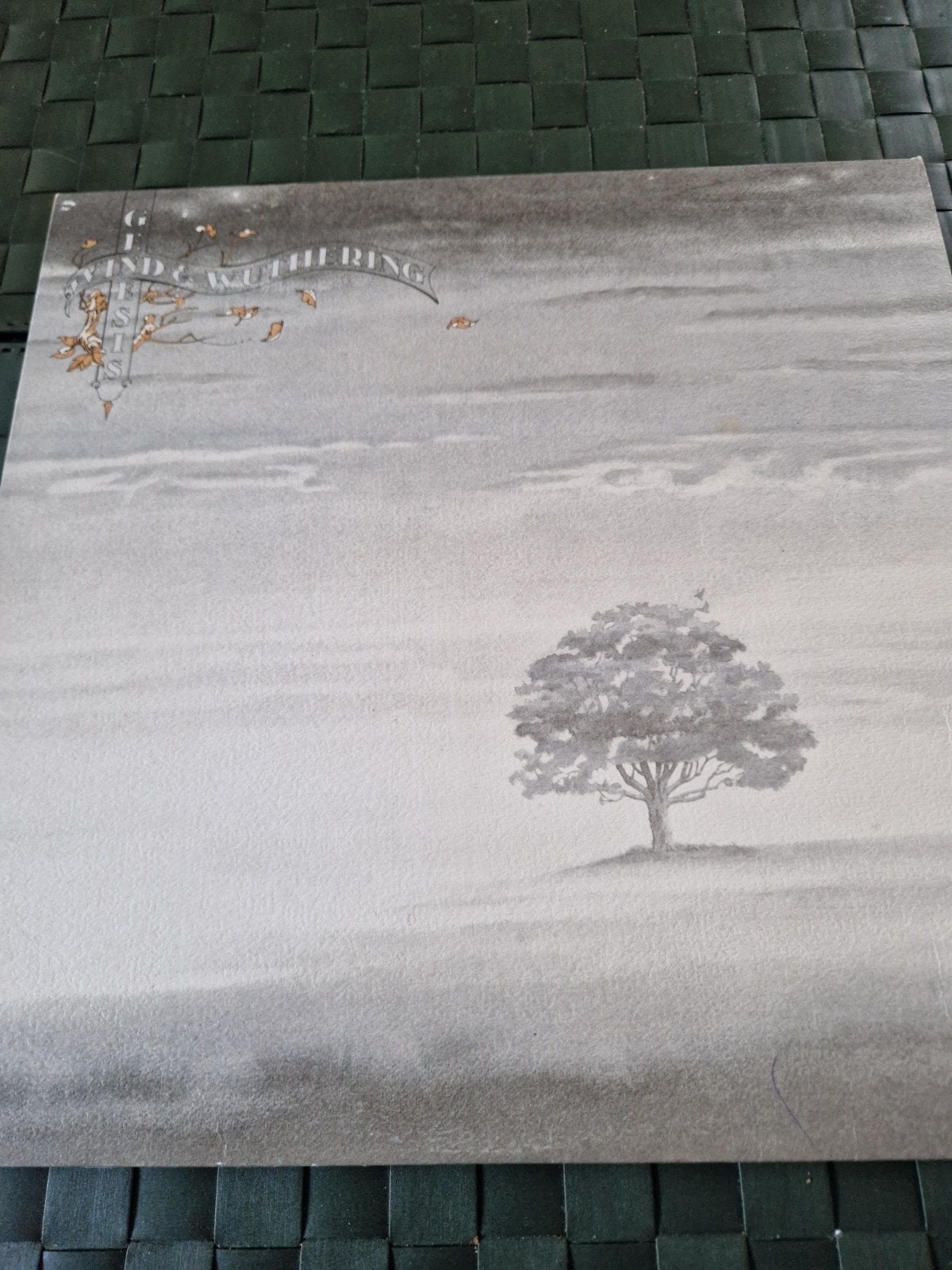 Genesis - Wind & Wuthering LP (1976), Originele persing, Ophalen of Verzenden, Gebruikt, 12 inch