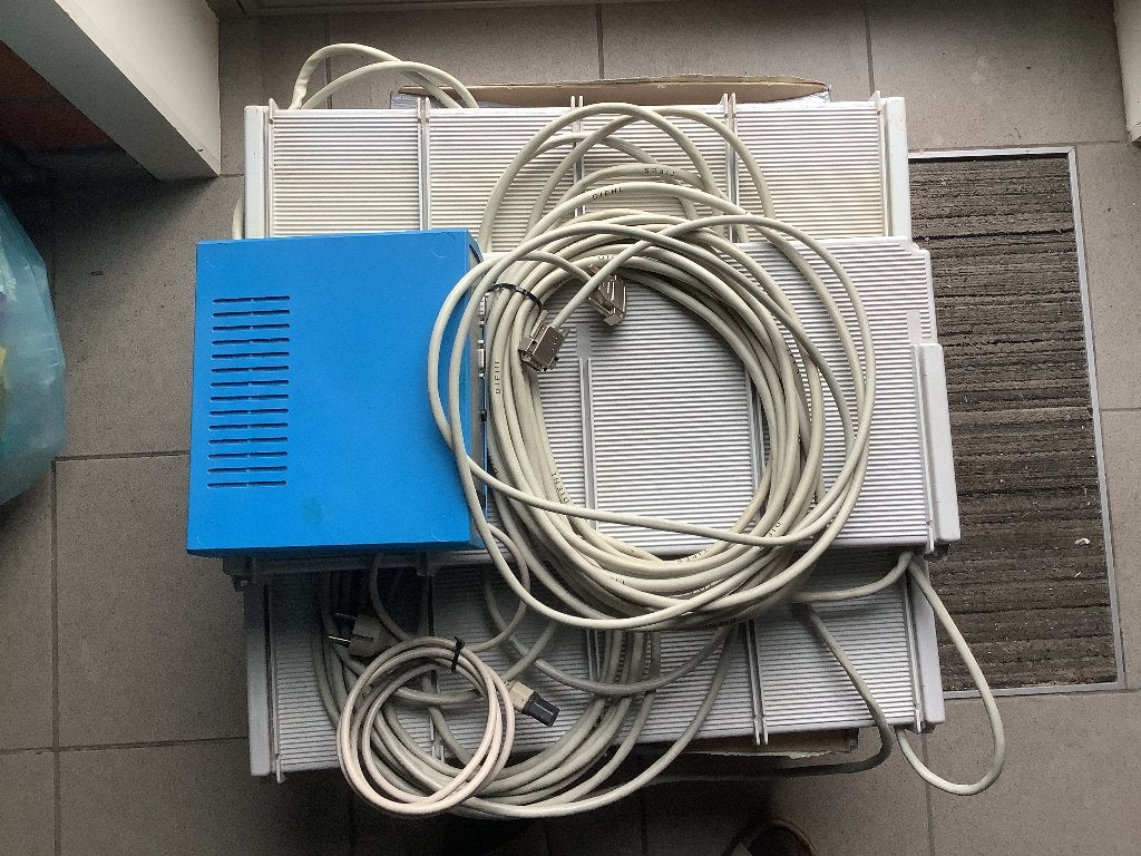 Invalantennes types duiven, Meerdere dieren, Postduif