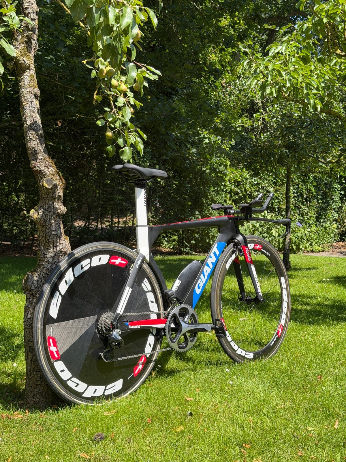 Giant Trinity Advanced Pro (maat s) Tijdrit - Triathlon, Fietsen en Brommers, Fietsen | Racefietsen, Ophalen, 28 inch, Carbon