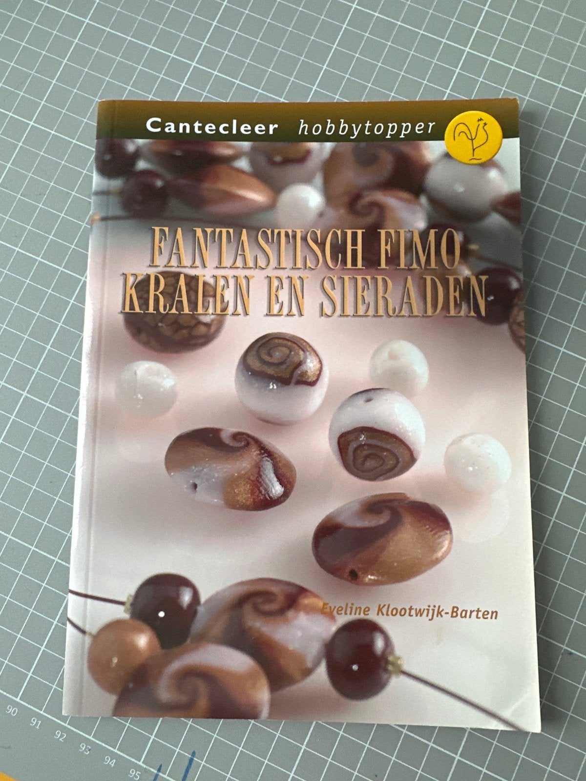 Boek: Fantastisch Fimo Kralen en Sieraden, Ophalen of Verzenden, Zo goed als nieuw, Overige typen