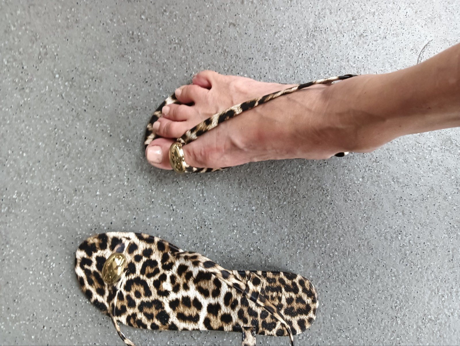 panter tijger sandalen, Ophalen, Zo goed als nieuw, Bruin, Sandalen of Muiltjes