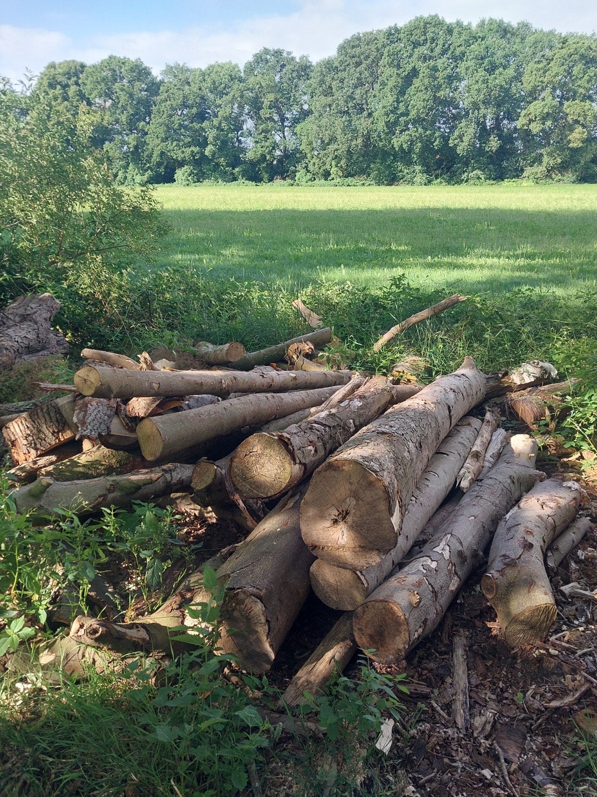 Brandhout  stamhout gemengt, Tuin en Terras, 6 m³ of meer, Ophalen