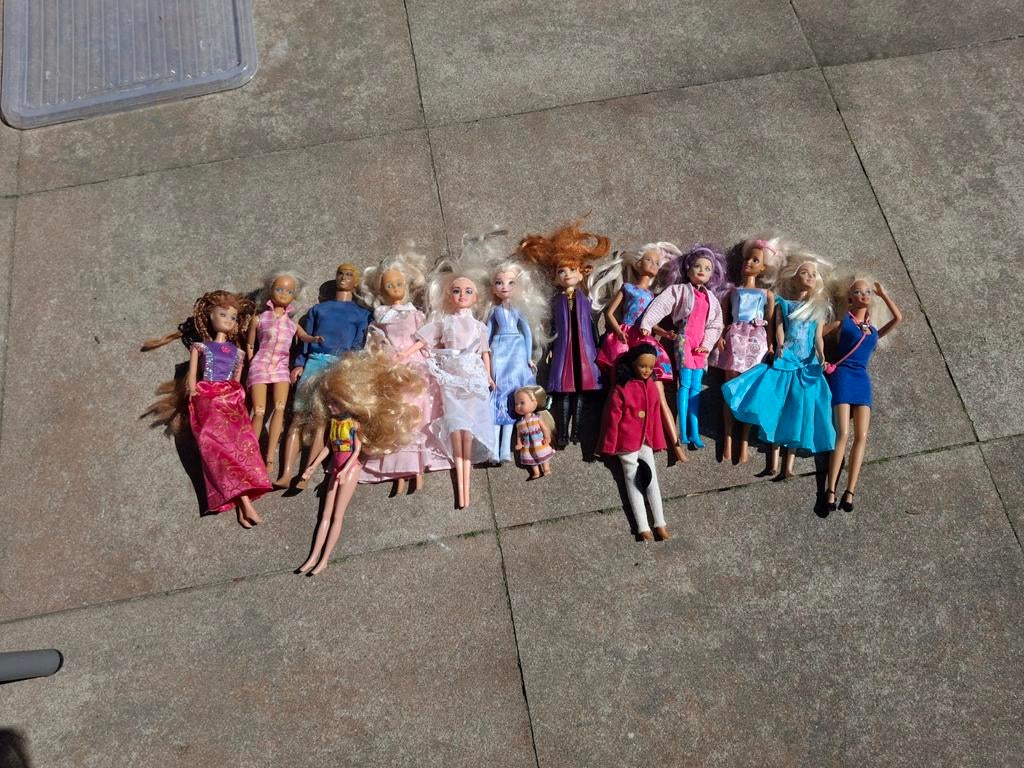 Barbie's /barbie meubels/ meubels poppenhuis/ paarden/ etc., Ophalen of Verzenden, Barbie
