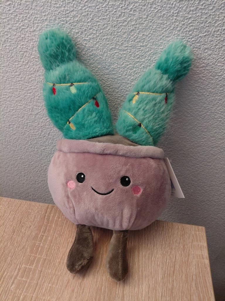 Kruidvat Evora Catus knuffel 0+ (cactus), Kinderen en Baby's, Speelgoed | Knuffels en Pluche, Ophalen of Verzenden