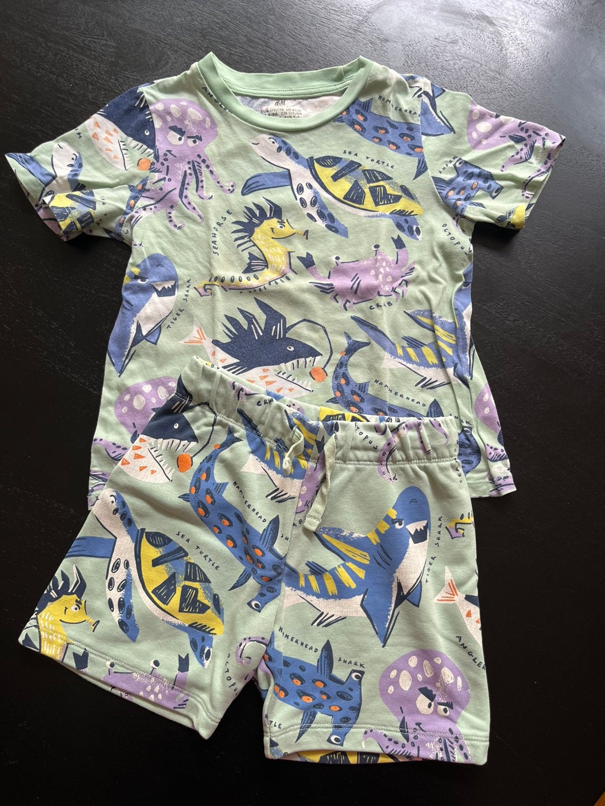 Maat 110/116 104 H&M setje tshirt en korte broek groen print, Ophalen of Verzenden, Gebruikt, Jongen, Setje