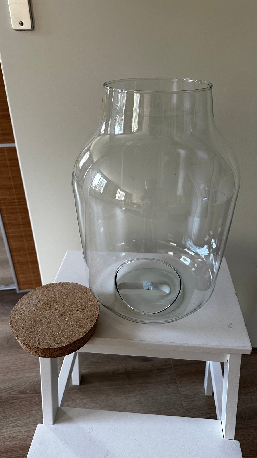 Grote glazen vaas / terrarium, Huis en Inrichting, Ophalen, Transparant, Met deksel, Glas