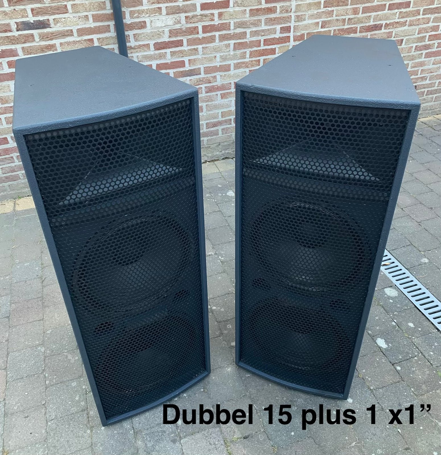 Net Paar Speakers dubbel 15” Woofers, 1 x 1” HD driver/hoorn, Audio, Tv en Foto, Luidsprekers, Party speaker, Zo goed als nieuw