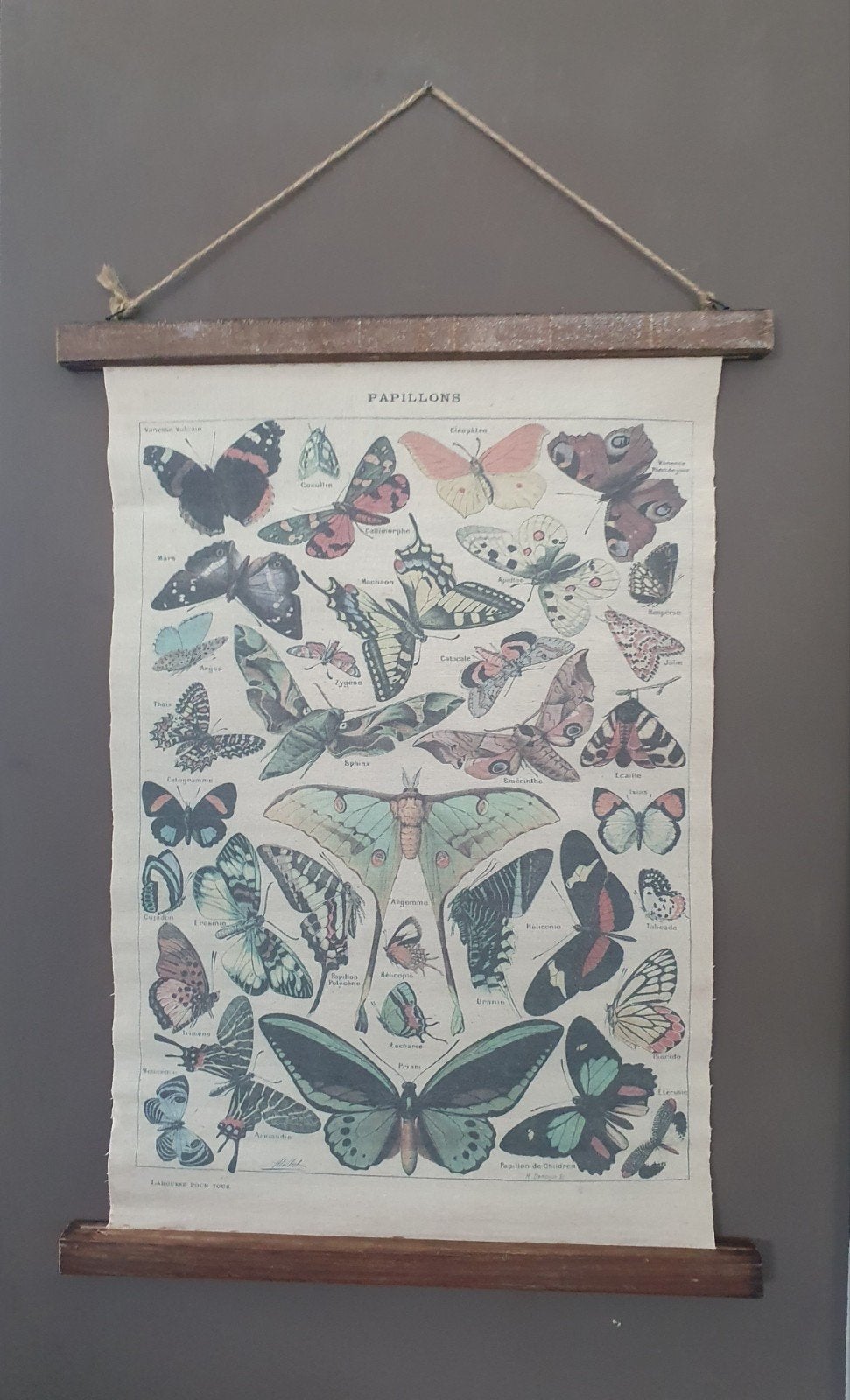 Vintage  wandhanger Vlinder poster - Papillons, Gebruikt, Ophalen of Verzenden, Wandbord of Wandpaneel, Met ophangsysteem