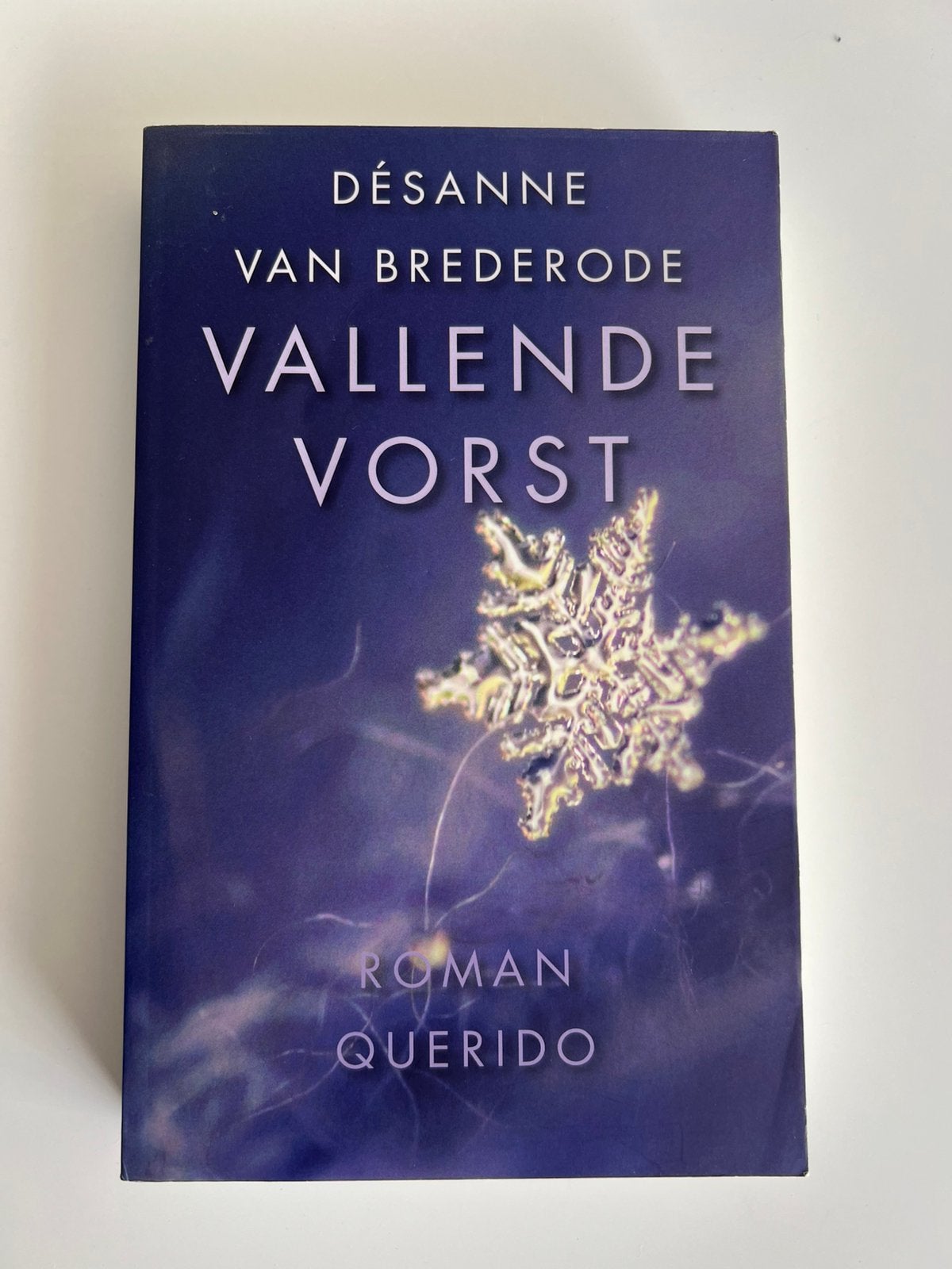 Vallende Vorst van Désanne van Brederode, Ophalen of Verzenden, Zo goed als nieuw